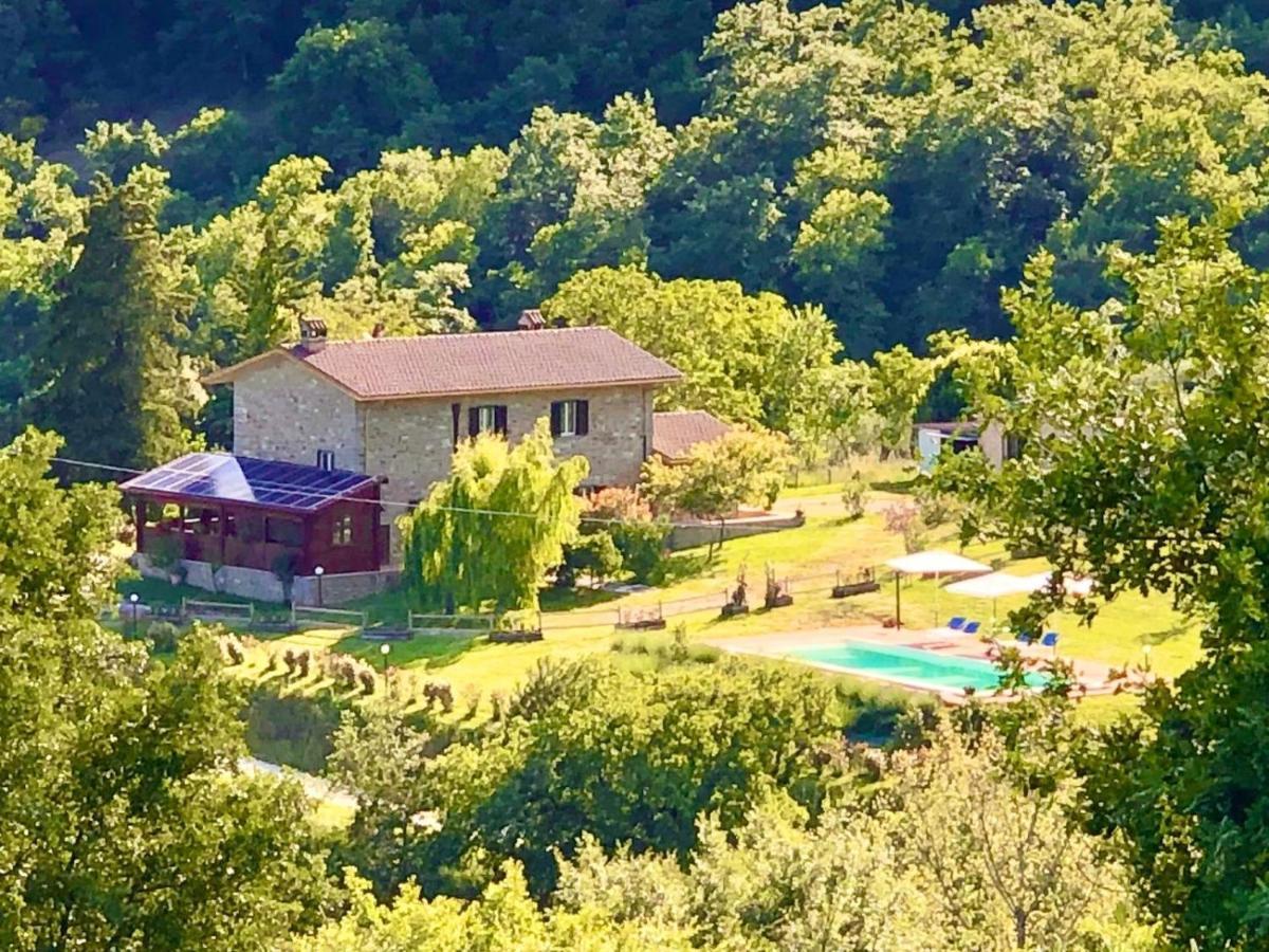 Agriturismo Vista Sole Mercatale (Arezzo) Exterior foto