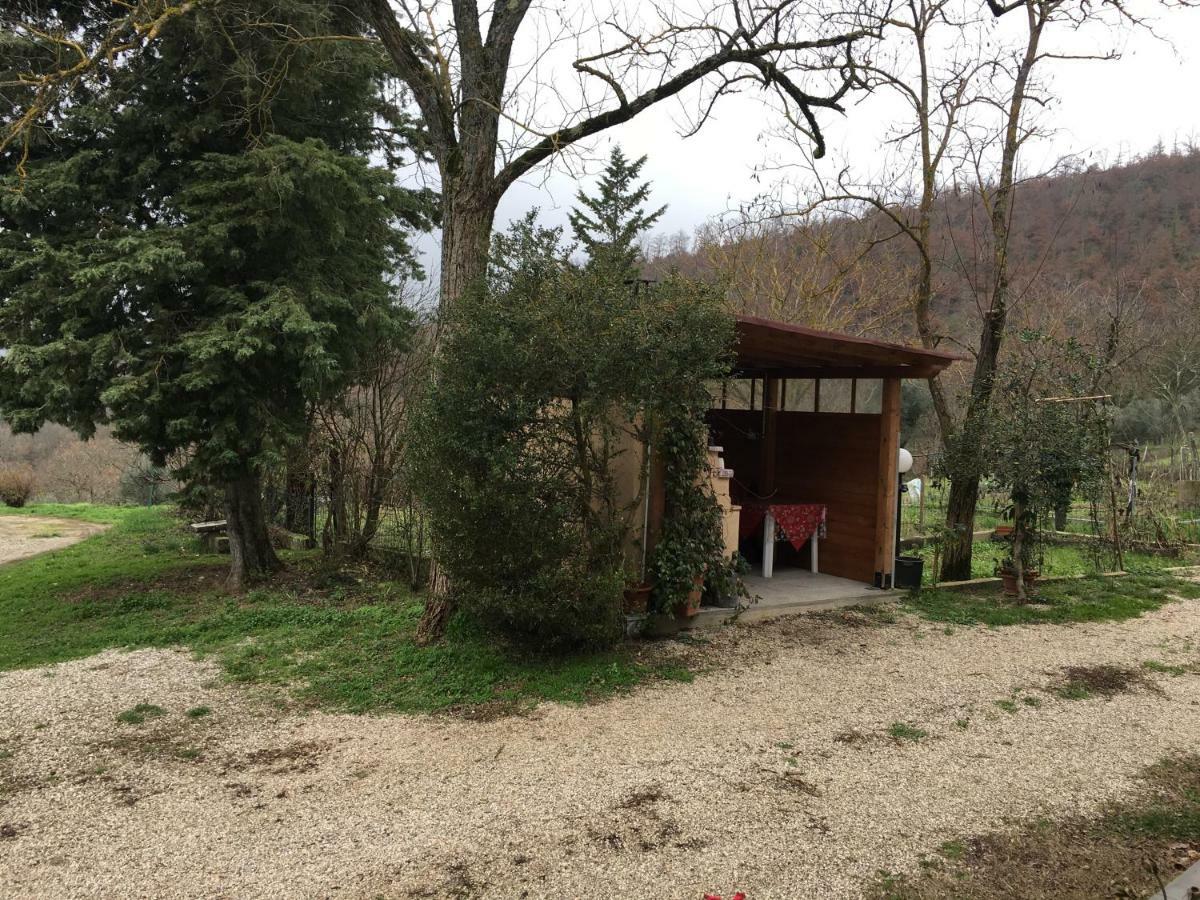 Agriturismo Vista Sole Mercatale (Arezzo) Exterior foto