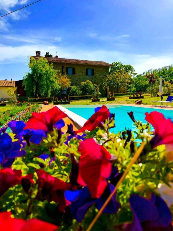 Agriturismo Vista Sole Mercatale (Arezzo) Exterior foto